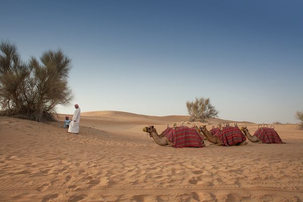 ausflug in die wüste