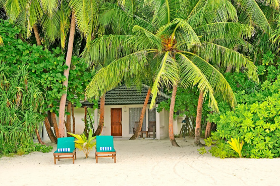 Ferien Malediven auf Holiday Island