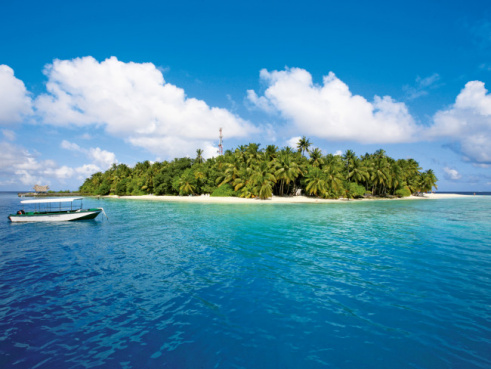 Günstige Malediven Ferien auf Fihalhohi Island Resort